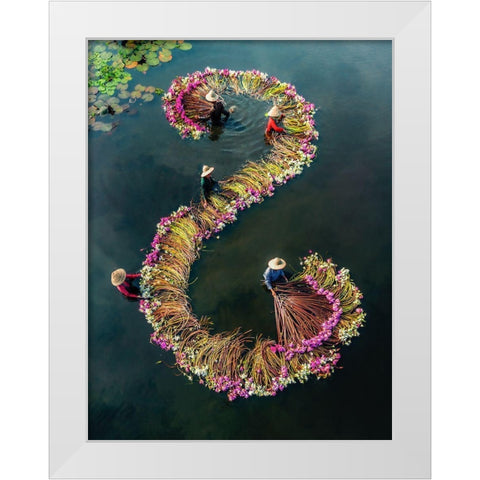 Harvesting Water Lilies 15 White Modern Wood Framed Art Print by Tan Tuan, Nguyen