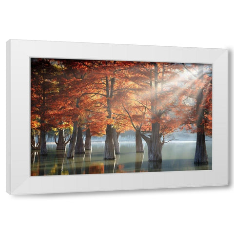 Sunny Cypress Trees White Modern Wood Framed Art Print by Nesvetaylov, Dmitry