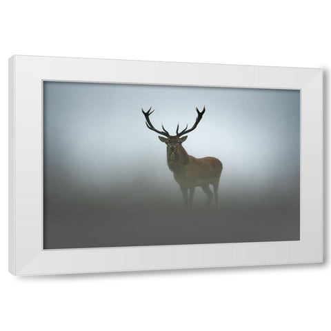 Ephemerality White Modern Wood Framed Art Print by Rudchenko, Olga