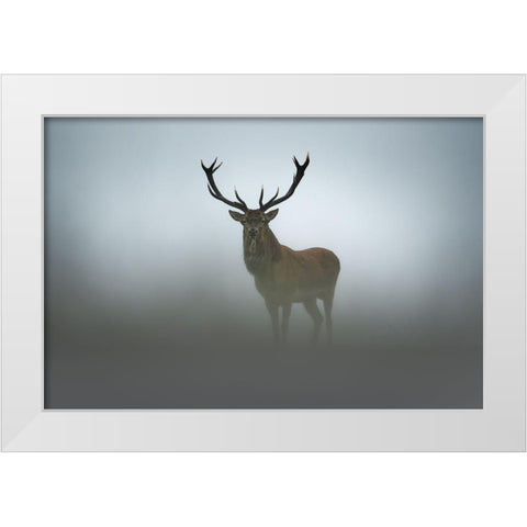 Ephemerality White Modern Wood Framed Art Print by Rudchenko, Olga