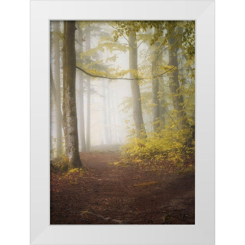 Lets Go for a Walk White Modern Wood Framed Art Print by Maier, Norbert