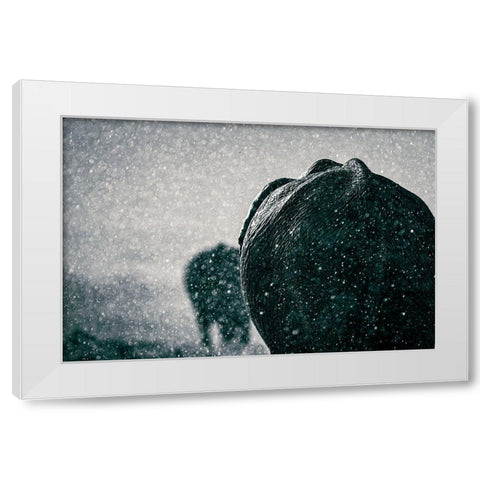 Rainy Season White Modern Wood Framed Art Print by Taylor, Mike