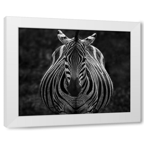 Stare White Modern Wood Framed Art Print by Chen, Jiong