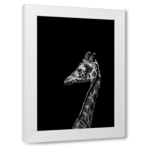 Im not Happy White Modern Wood Framed Art Print by Ma, Frank