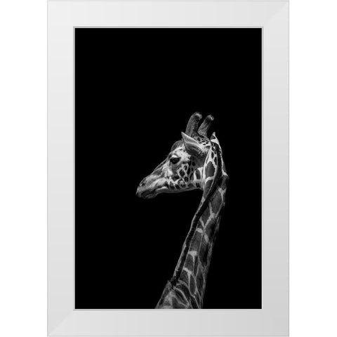 Im not Happy White Modern Wood Framed Art Print by Ma, Frank