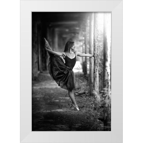 Ballet Hold White Modern Wood Framed Art Print by Petrocca, Domenico