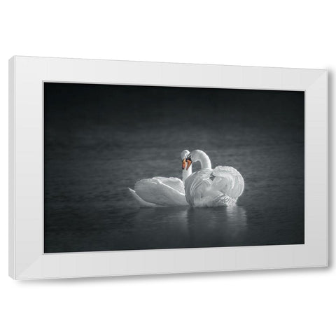 Public Display of Affection White Modern Wood Framed Art Print by Hu, Mei