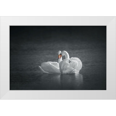 Public Display of Affection White Modern Wood Framed Art Print by Hu, Mei