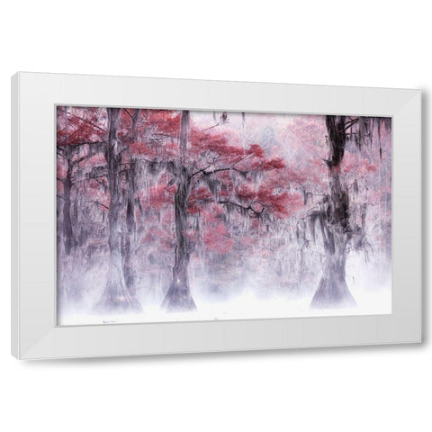 Foggy a Fall Foliage at Caddo Lake White Modern Wood Framed Art Print by Leechee