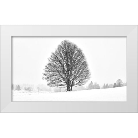 Lonely Tree II White Modern Wood Framed Art Print by Froyda, Martin
