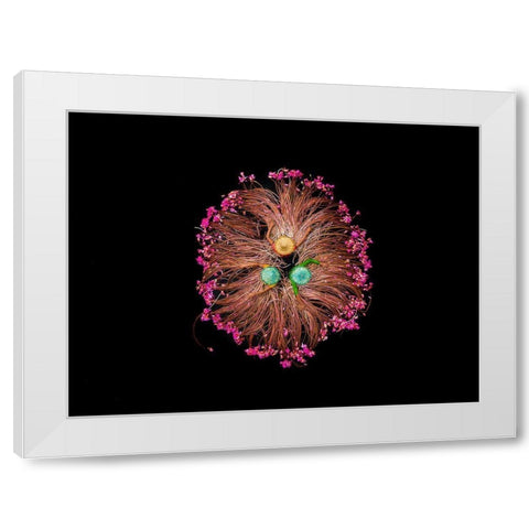 Colors of Life White Modern Wood Framed Art Print by Adikary, Sujon