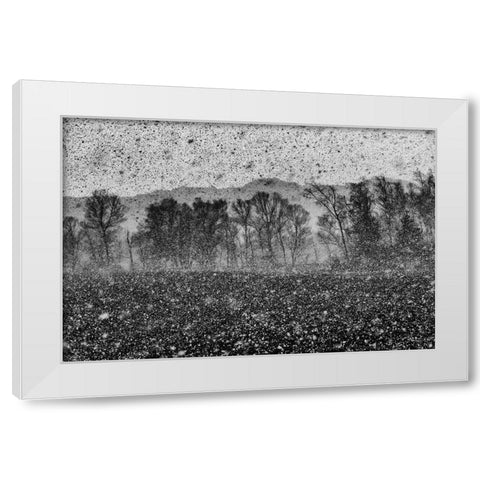 Snow Storm White Modern Wood Framed Art Print by Klabus, Ales