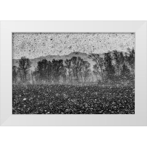 Snow Storm White Modern Wood Framed Art Print by Klabus, Ales