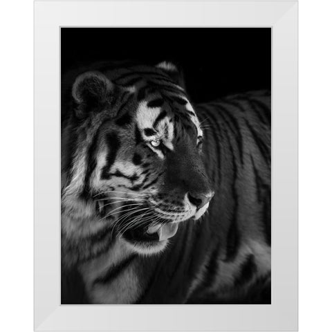 The King White Modern Wood Framed Art Print by Zhao, Alex