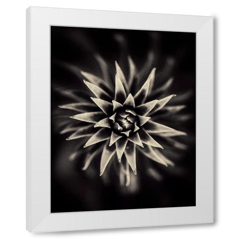 Star White Modern Wood Framed Art Print by Salem, Saad