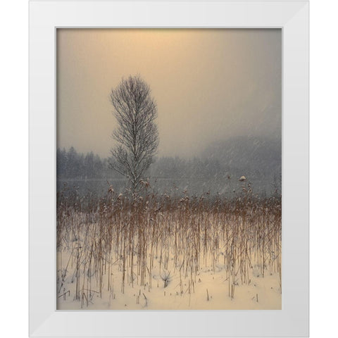 Lonely Tree White Modern Wood Framed Art Print by Gialopoulos, Anastasios