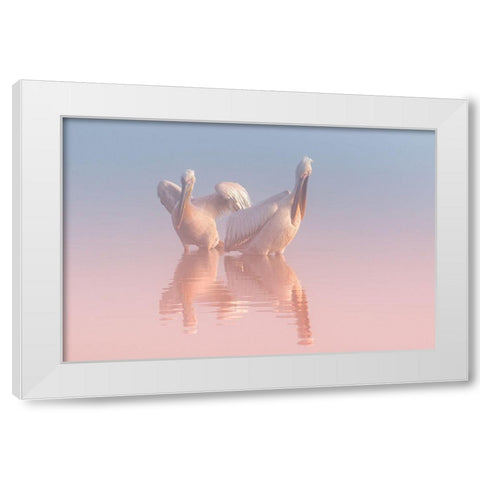 Two Pelicans White Modern Wood Framed Art Print by Rublina, Natalia