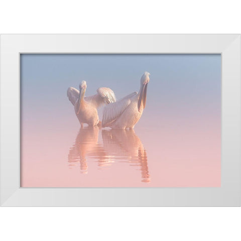 Two Pelicans White Modern Wood Framed Art Print by Rublina, Natalia