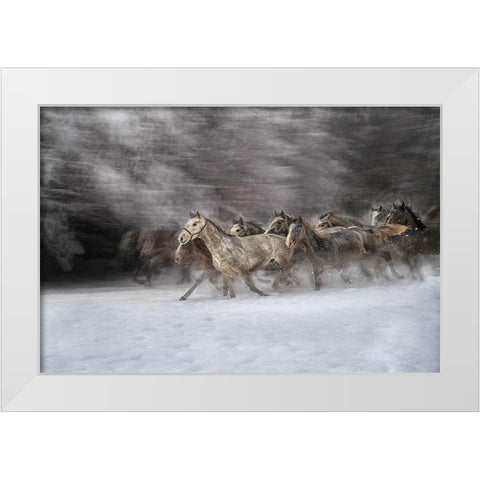 Winter Joy White Modern Wood Framed Art Print by Malovrh, Milan