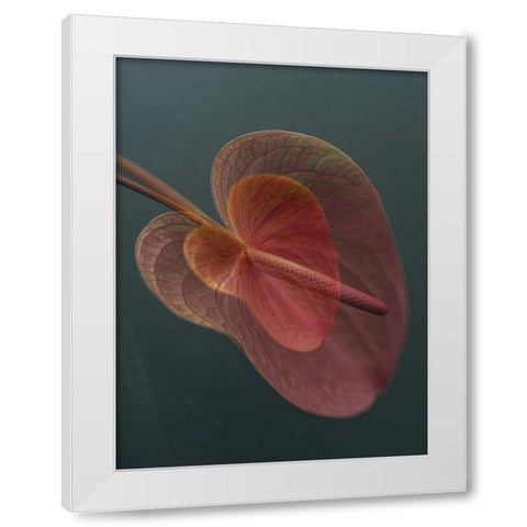 Heart 2 White Modern Wood Framed Art Print by Basso, Donatella