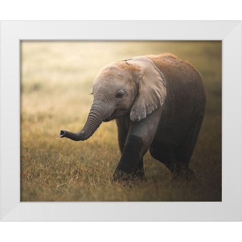 Falafelo White Modern Wood Framed Art Print by Sobhi, Ahmed