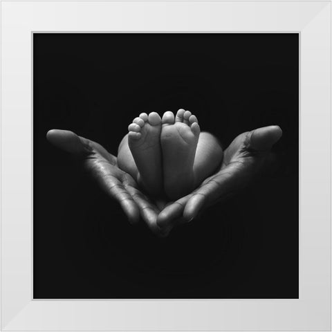 A little miracle White Modern Wood Framed Art Print by Del Grosso, Sebastien