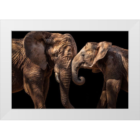 Elephants White Modern Wood Framed Art Print by Martins, Vitor