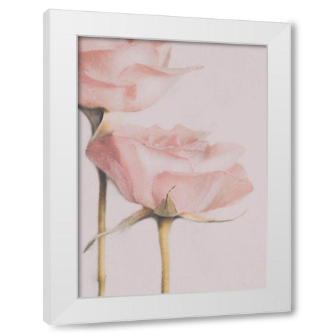 Two Roses White Modern Wood Framed Art Print by Devos, Delphine