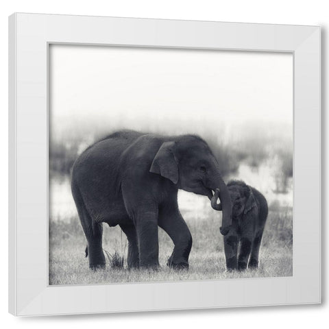 Siblings White Modern Wood Framed Art Print by Swapnil