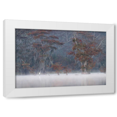 Egrette White Modern Wood Framed Art Print by Marchegiani, Roberto