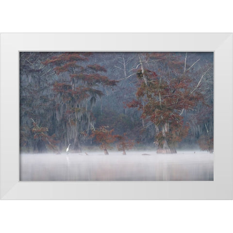 Egrette White Modern Wood Framed Art Print by Marchegiani, Roberto