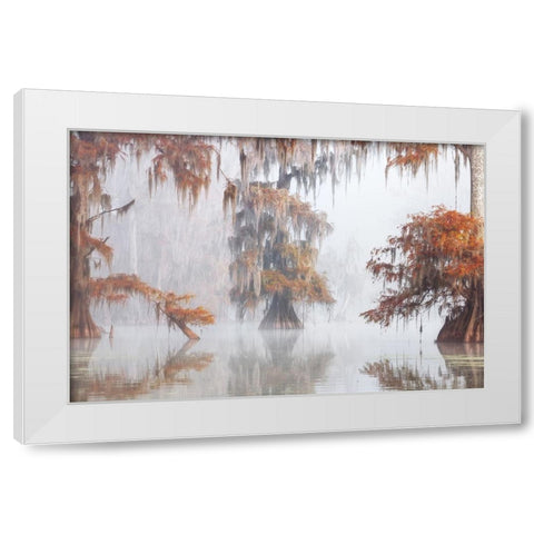 Mysty Bayou White Modern Wood Framed Art Print by Marchegiani, Roberto