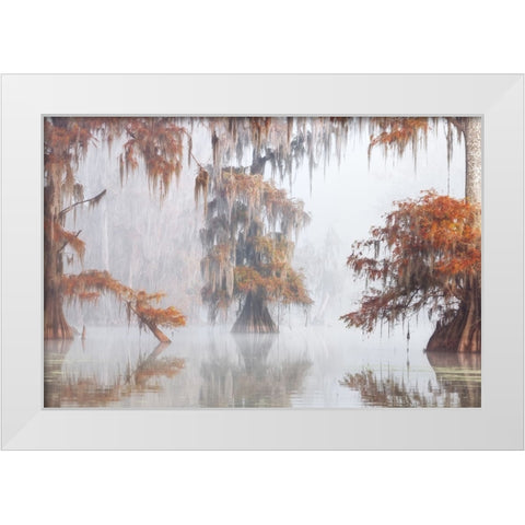 Mysty Bayou White Modern Wood Framed Art Print by Marchegiani, Roberto