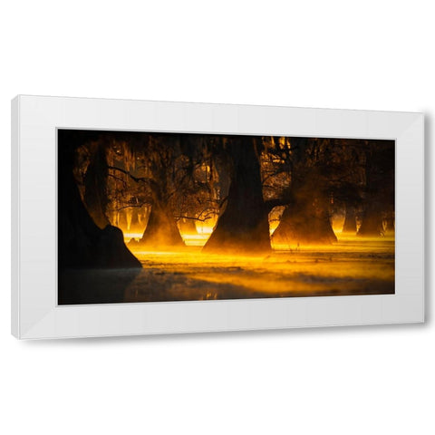 Morning Light White Modern Wood Framed Art Print by Zheng, Michael