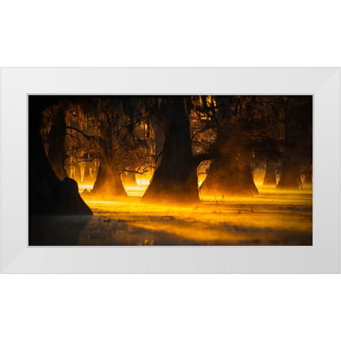 Morning Light White Modern Wood Framed Art Print by Zheng, Michael