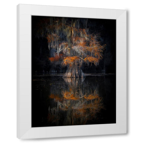 Cypress Reflection White Modern Wood Framed Art Print by Zheng, Michael