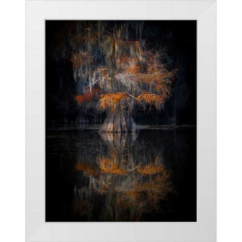 Cypress Reflection White Modern Wood Framed Art Print by Zheng, Michael