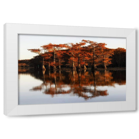 Reflection of Caddo Lake White Modern Wood Framed Art Print by Chen, Janice W.
