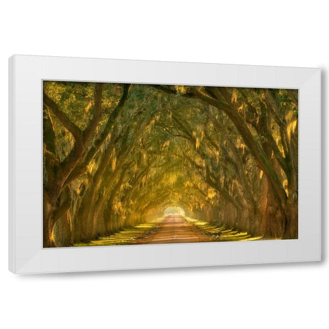 Illumination Alley White Modern Wood Framed Art Print by Moore, Chris