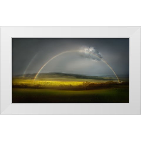 The Spring Bliss White Modern Wood Framed Art Print by Dou, Shenshen