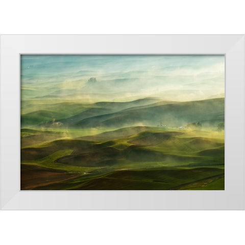 Golden Morning-Palouse White Modern Wood Framed Art Print by Shen, Jikui