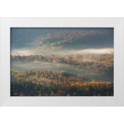 Misty Morning White Modern Wood Framed Art Print by Austin