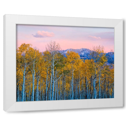 Autumn Delight White Modern Wood Framed Art Print by Fan, John