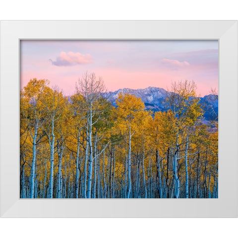 Autumn Delight White Modern Wood Framed Art Print by Fan, John