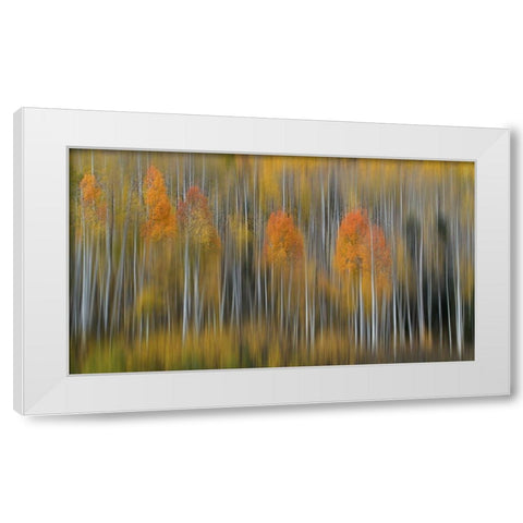 Fall Impression #2 White Modern Wood Framed Art Print by Austin