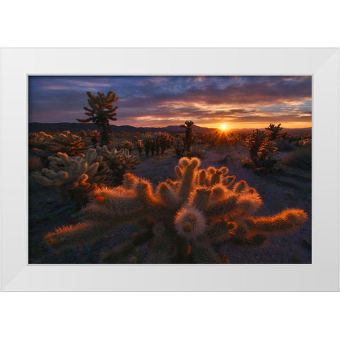 Cholla Garden White Modern Wood Framed Art Print by CIA, INIGO