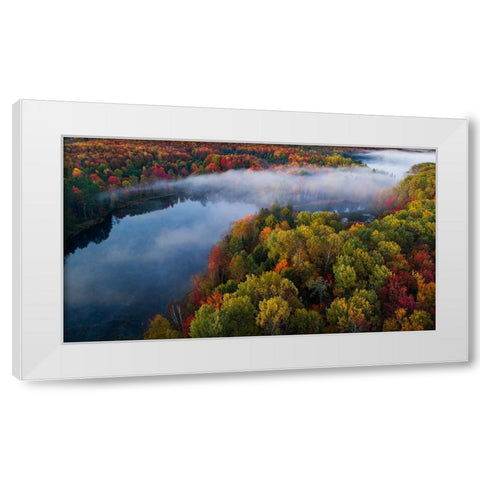 Autumn Symphony II White Modern Wood Framed Art Print by Fan, John