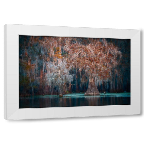 Louisiana White Modern Wood Framed Art Print by Marchegiani, Roberto