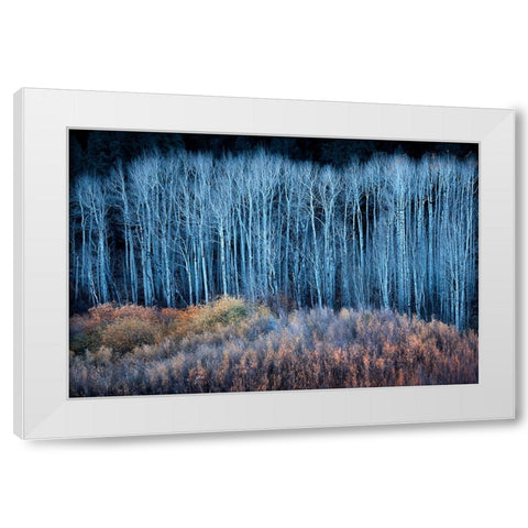 End of Autumn White Modern Wood Framed Art Print by Xu, Mei