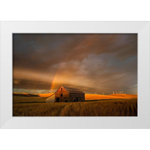 Witness of the Rainbow White Modern Wood Framed Art Print by Fan, John